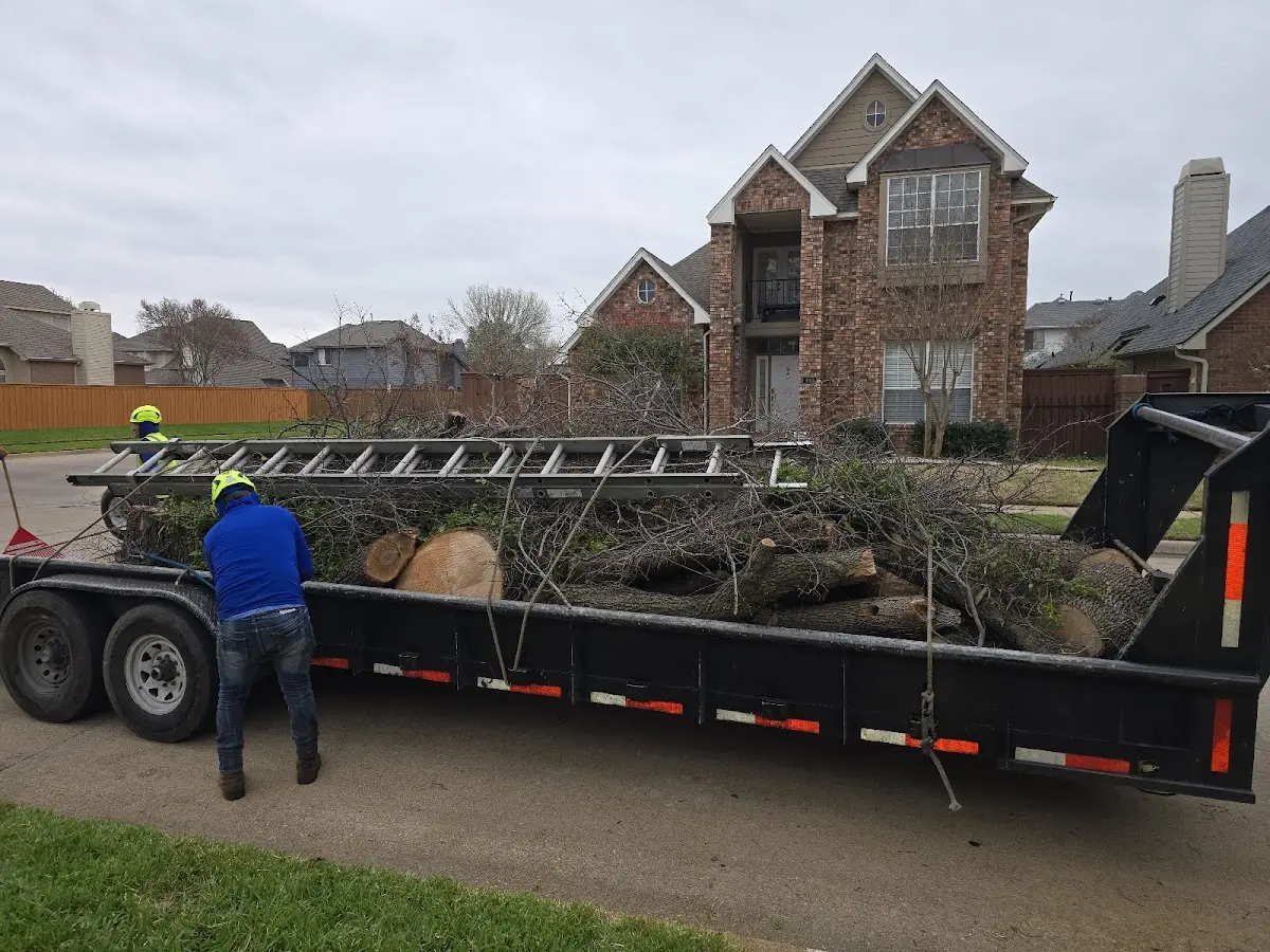 Expert Lot Clearing with proper safety equipment in Lemitar